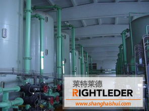 0.2噸/小時(shí)二級(jí)除鹽水設(shè)備 水資源專用機(jī)械設(shè)備制造與應(yīng)用